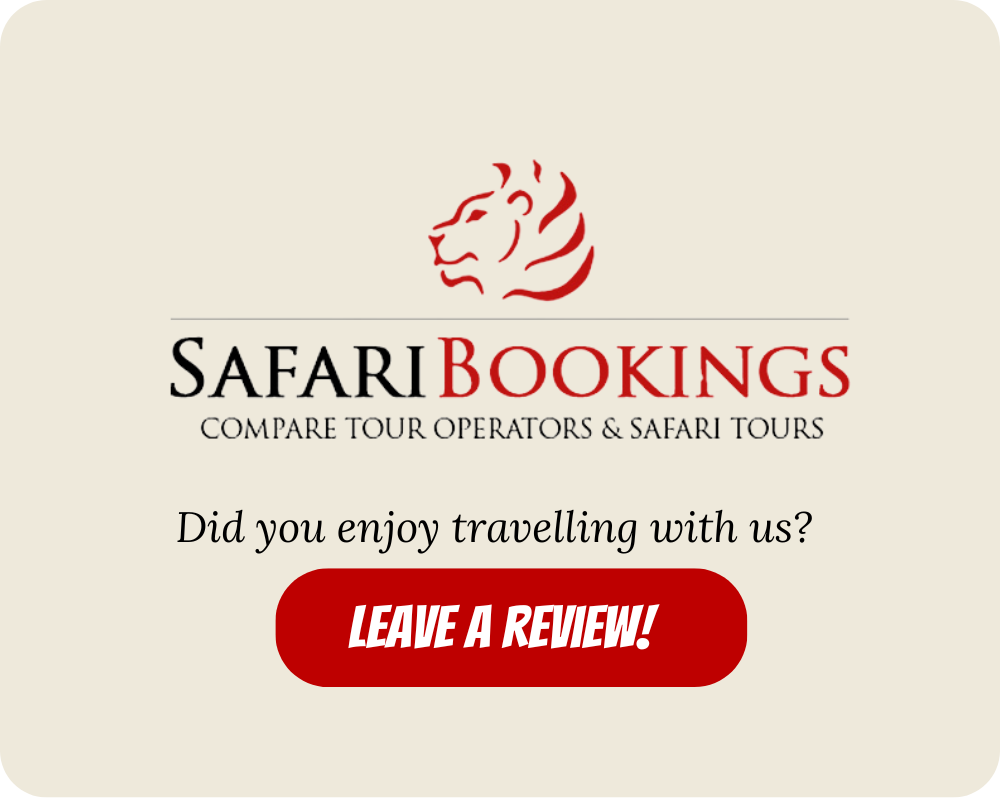 safari bookings